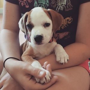 Meet your Posher, Tiffany